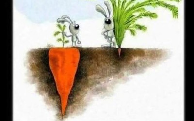 The Grass Is Not Always Greener On The Other Side